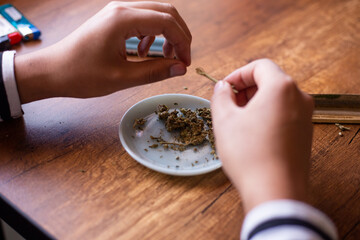 manos seleccionando marihuana (Cannabis) para armar un blunt. Concepto de medicina natural. © artrolopzimages