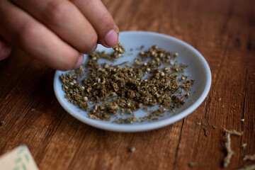 manos seleccionando marihuana (Cannabis) para armar un blunt. Concepto de medicina natural. © artrolopzimages