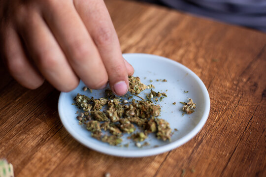 manos seleccionando marihuana (Cannabis) para armar un blunt. Concepto de medicina natural.