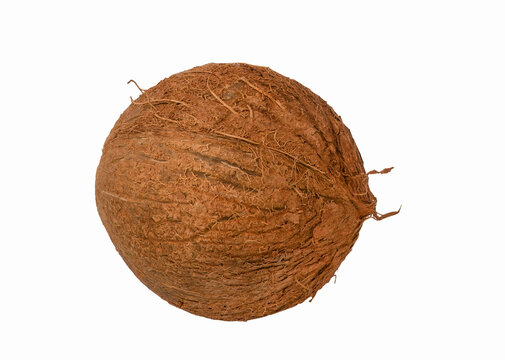 Coconut isolated. Coconut with a half on white background