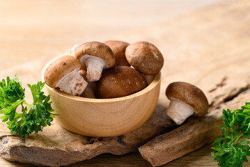 Fresh shiitake mushroom, edible mushroom and food ingredient in Asian cuisine