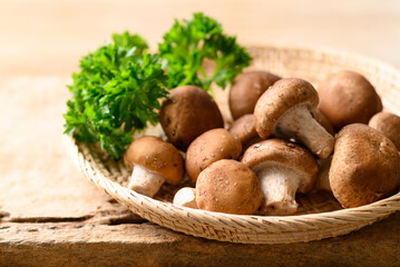 Fresh shiitake mushroom, edible mushroom and food ingredient in Asian cuisine