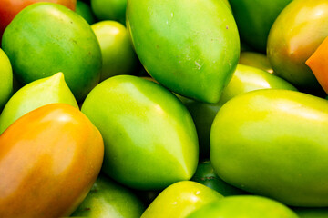 Extreme close-up of freshly harvested colorful variety tomatoes ready for sale