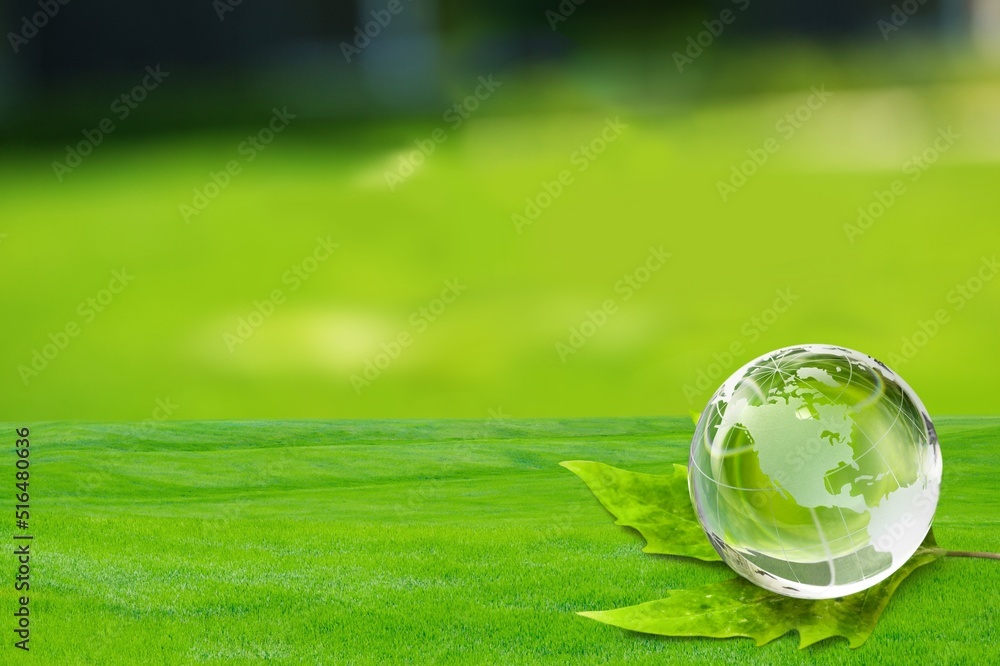 Sticker Environment. Glass Globe On Grass In Forest, Environmental Conservation Concept