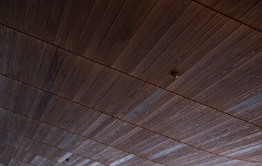 木の天井