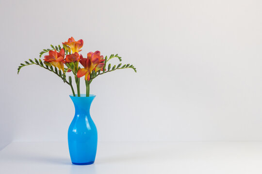 Closeup of red freesia flowers in small blue vase against white background with copy space