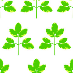 Regular seamless background made from the leaves of the plant