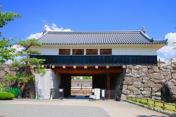 Fototapeta premium 国宝・松本城（長野県・松本市）