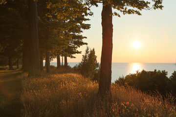 sunset along the cliffs of Lake Erie,  grasses and trees at sunset  
