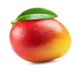 Mango isolated. Ripe red mango on a white background. Fresh fruits.