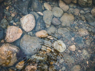 Clear top view of river rocks or pebbles