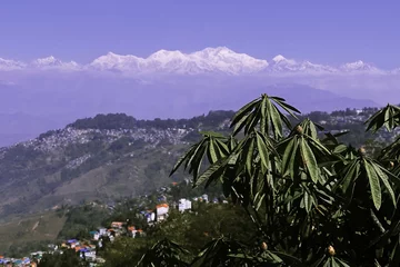 Photo sur Plexiglas Kangchenjunga rhododendron et himalaya enneigé (kangchenjunga ou bouddha endormi), vue panoramique sur la station de montagne de darjeeling au bengale occidental, inde