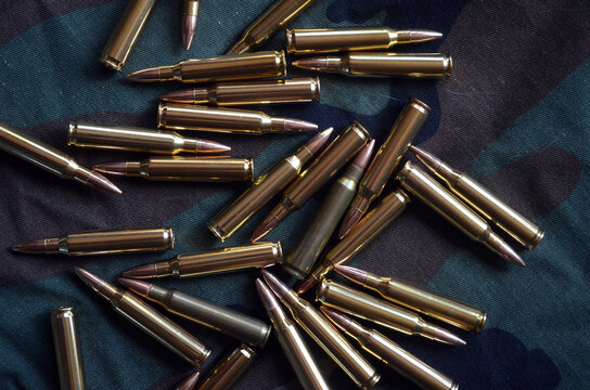 Carbine, ammo in 308 win calibre.