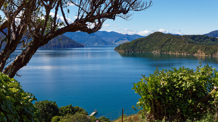 View over Marlborough Sounds from the top of Maud Island, Marlborough Sounds, south island, Aotearoa / New Zealand.