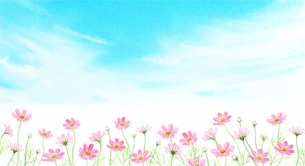 筋雲にコスモス畑　水彩イラスト © miko