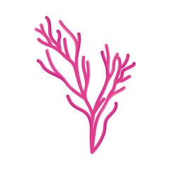 pink branch coral design