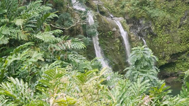 Close shot ofStream running fast in summer green forest. Small waterfall with crystal clear water. Stones and logs covered with moss. Steadicam slow motion shot