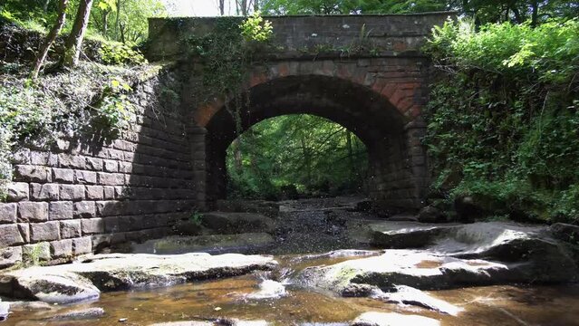 A lot of mosquitos flying in a bunch abode flowing river.
