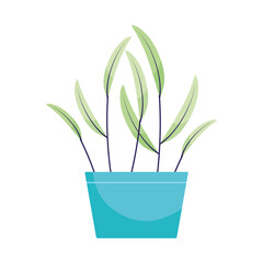 green plant icon image