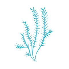 Fototapeta na wymiar blue seaweed icon