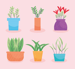 indoor plants icon set