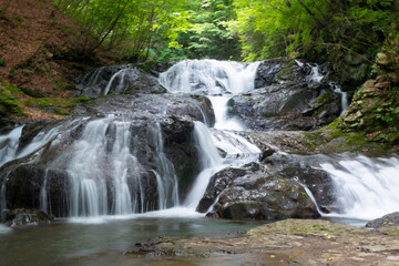 雄大な流れの夏の魚止めの滝