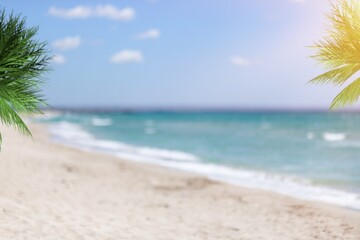 Palm tree on tropical beach with blue sky and white clouds background. Summer vacation and business travel concept.