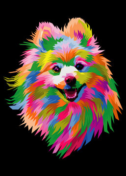 colorful dog pomeranian head with cool isolated pop art style backround.