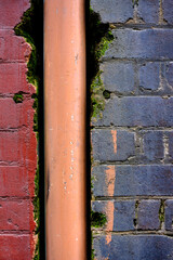 An old exterior brick wall with a down pipe running through it, where moss is growing from the bricks themselves. 