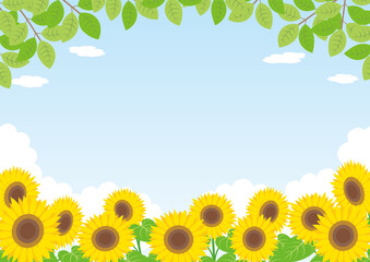 ひまわり_夏_背景_横