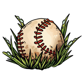baseball in grass with water droplets clip art preview