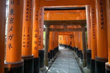 Kyoto - Fushimi-inari Torii