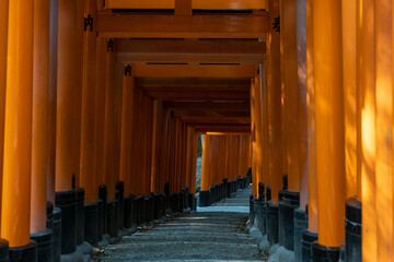 Kyoto - Fushimi-inari Torii