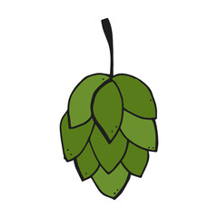 Oktoberfest 2022 - Beer Festival. Hand-drawn Doodle green hops on a white background. German Traditional holiday.