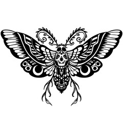 Death Moth Zentangle