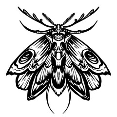 Death Moth Zentangle