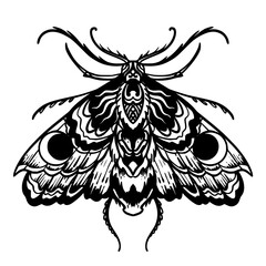 Death Moth Zentangle