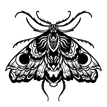 Death Moth Zentangle