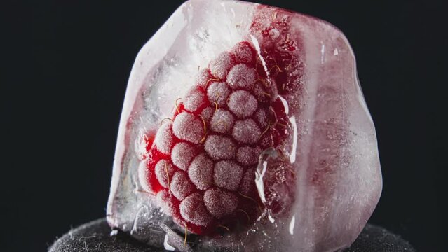 Timelapse raspberry melts and freezes in a piece of ice in a loop. Fruits melt from warm temperature, frost. The water freezes and turns into an ice cube.