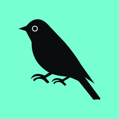 Black bird vector logo design 