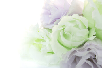 purple and green floral background in pastel colors