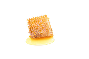 one piece of beeswax with honey on a white background