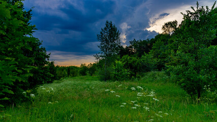 Approaching thunderstorm in Samarskaya Luka National Park!