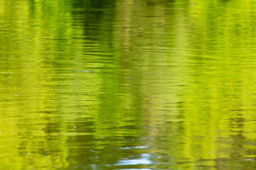 The green expanse of water on the reservoir as an abstract background.