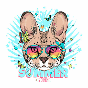 Cute serval with buttflies and stars. Summer is coming illustration. Stylish image for printing on any surface