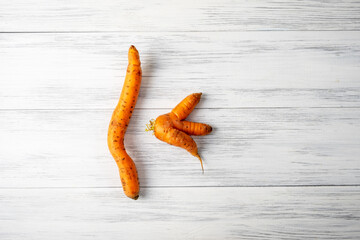 Top view close-up of two ripe orange ugly carrots lie on a light wooden surface with copy space for...