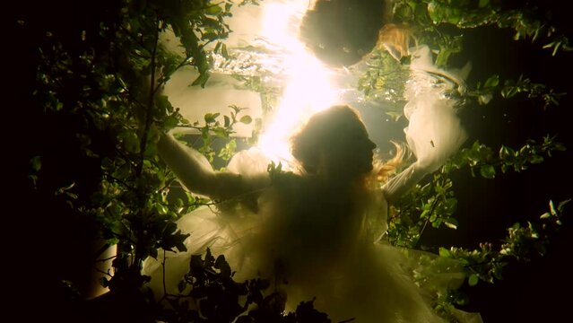 Silhouette of an elegant mermaid girl swimming underwater in a dress among bushes of underwater plants