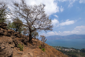 Fototapeta na wymiar Cerro de Oro, San Lucas Tolimán, lago de Atitlán, Sololá Guatemala, America Central