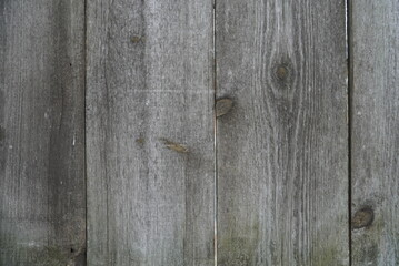 Naklejka premium Texture of an old fence made of wooden boards close-up