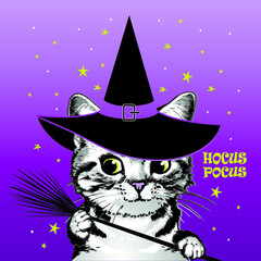 Kitten in witch's hat with a broom. Halloween vector illustration.